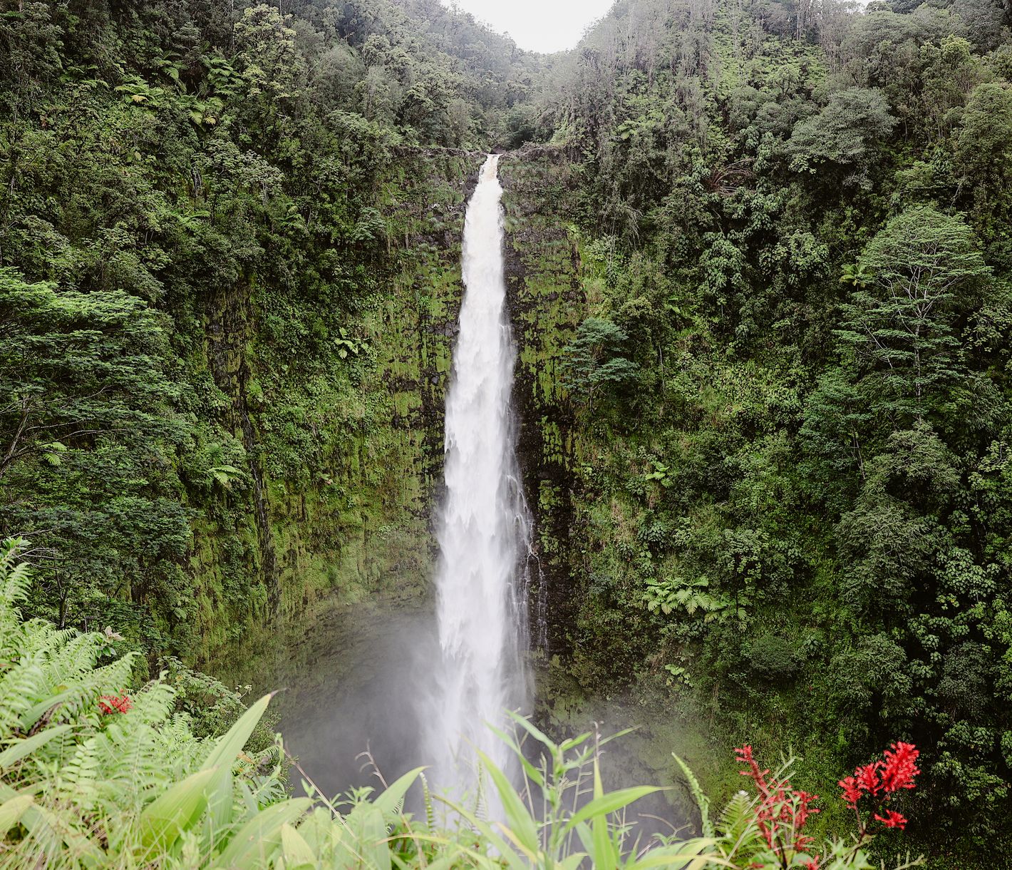 Die eindrücklichen Akaka Falls sind einen Halt wert.