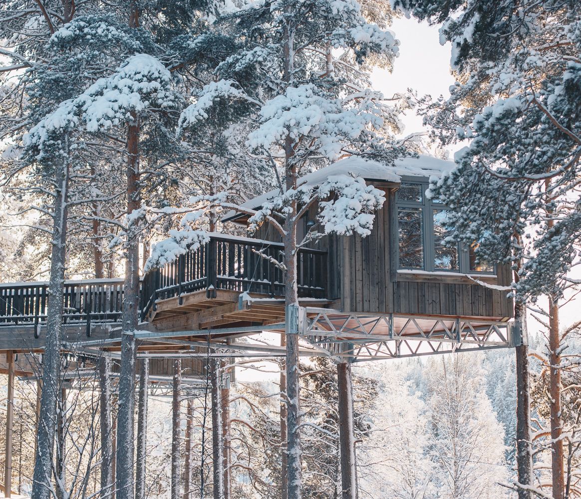 Eine Nacht im Vogelnest