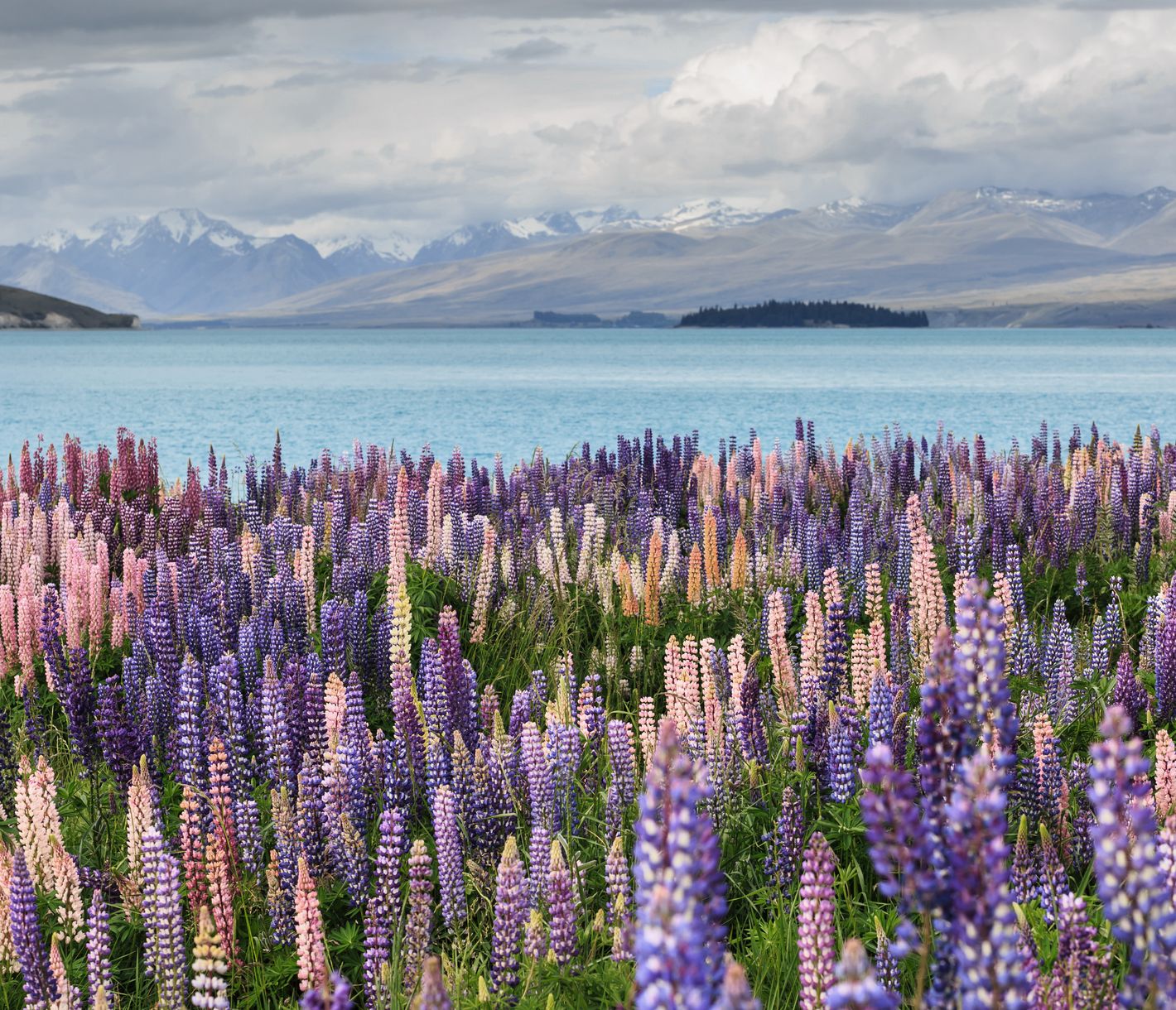 Lake Tekapo