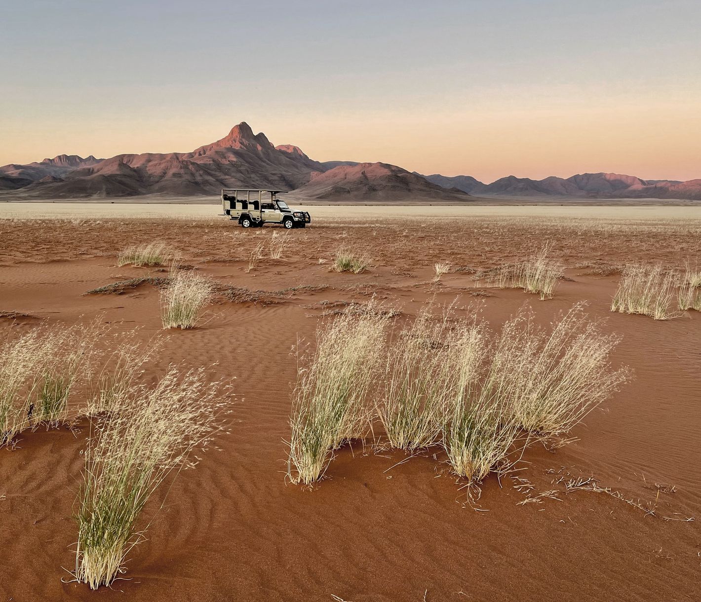 A la découverte de la vie dans le désert du Namib Rand...