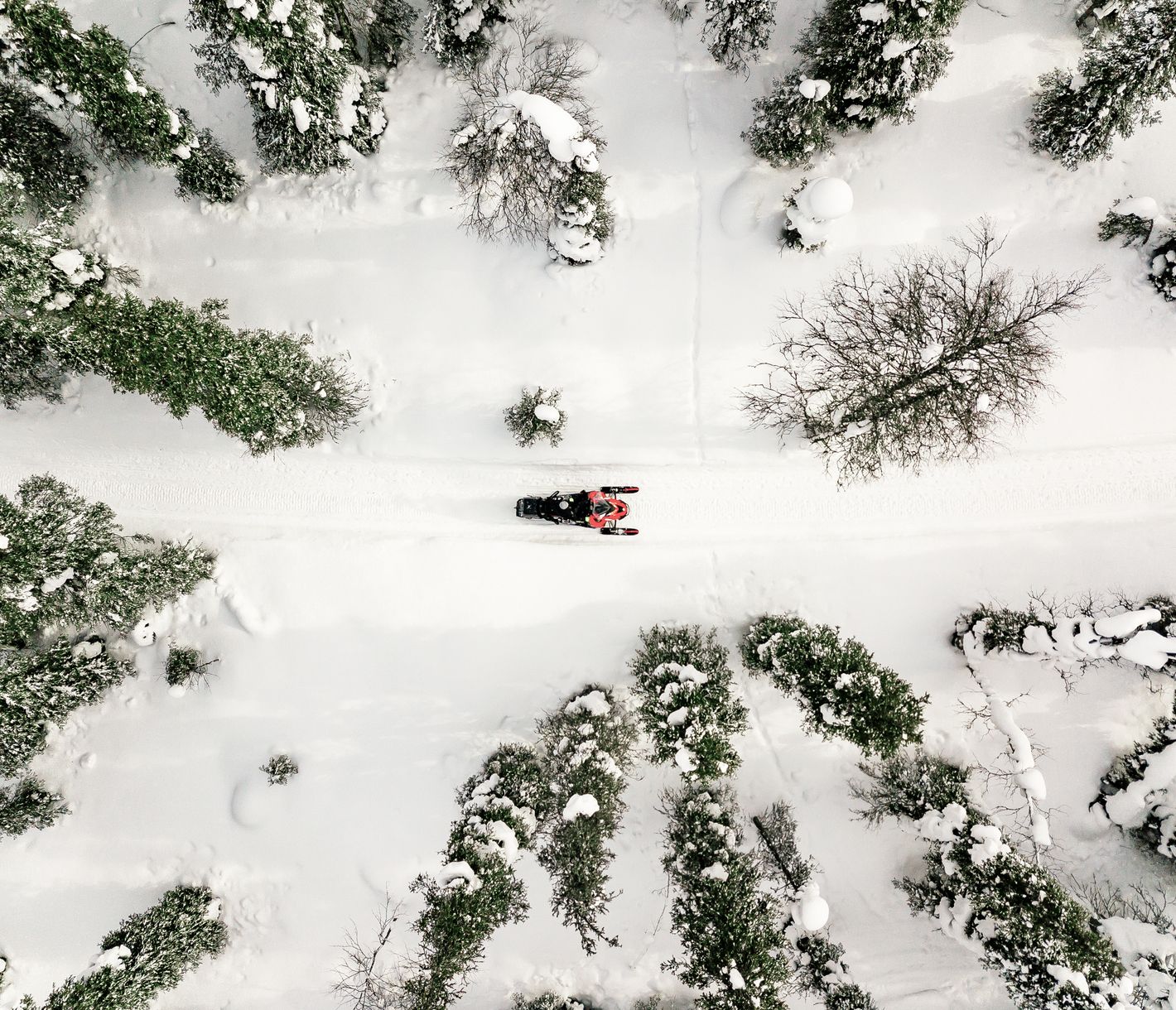 In den Wäldern rund um Äkäslompolo