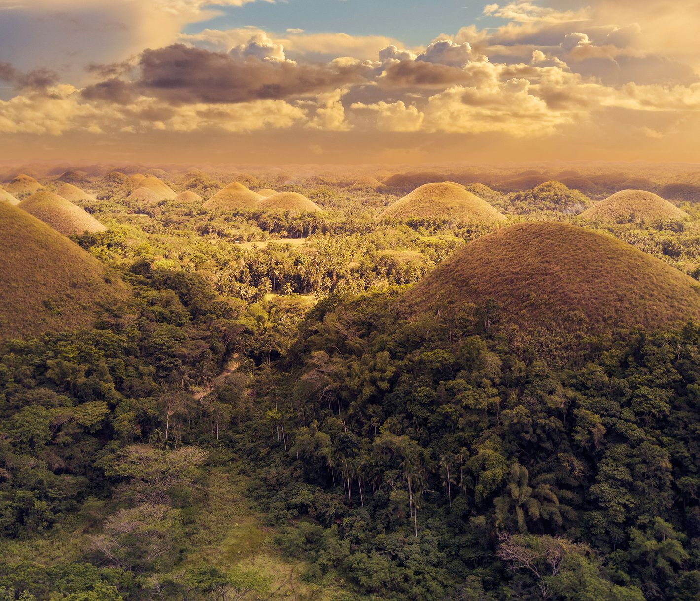 Der Anblick der rund 5'000 Chocolate Hills auf Bohol ist schlicht faszinierend.