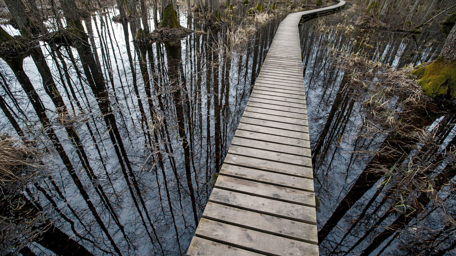 Sloka-See bei Jürmala