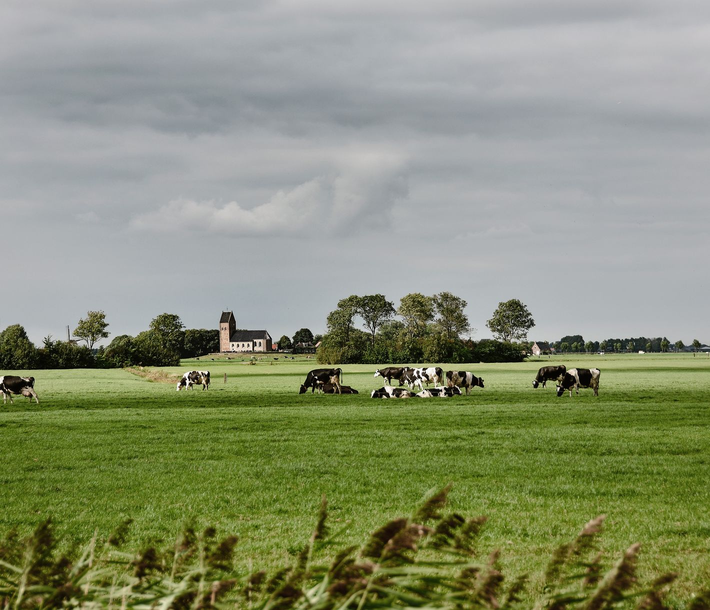 Idylle pur im Friesland