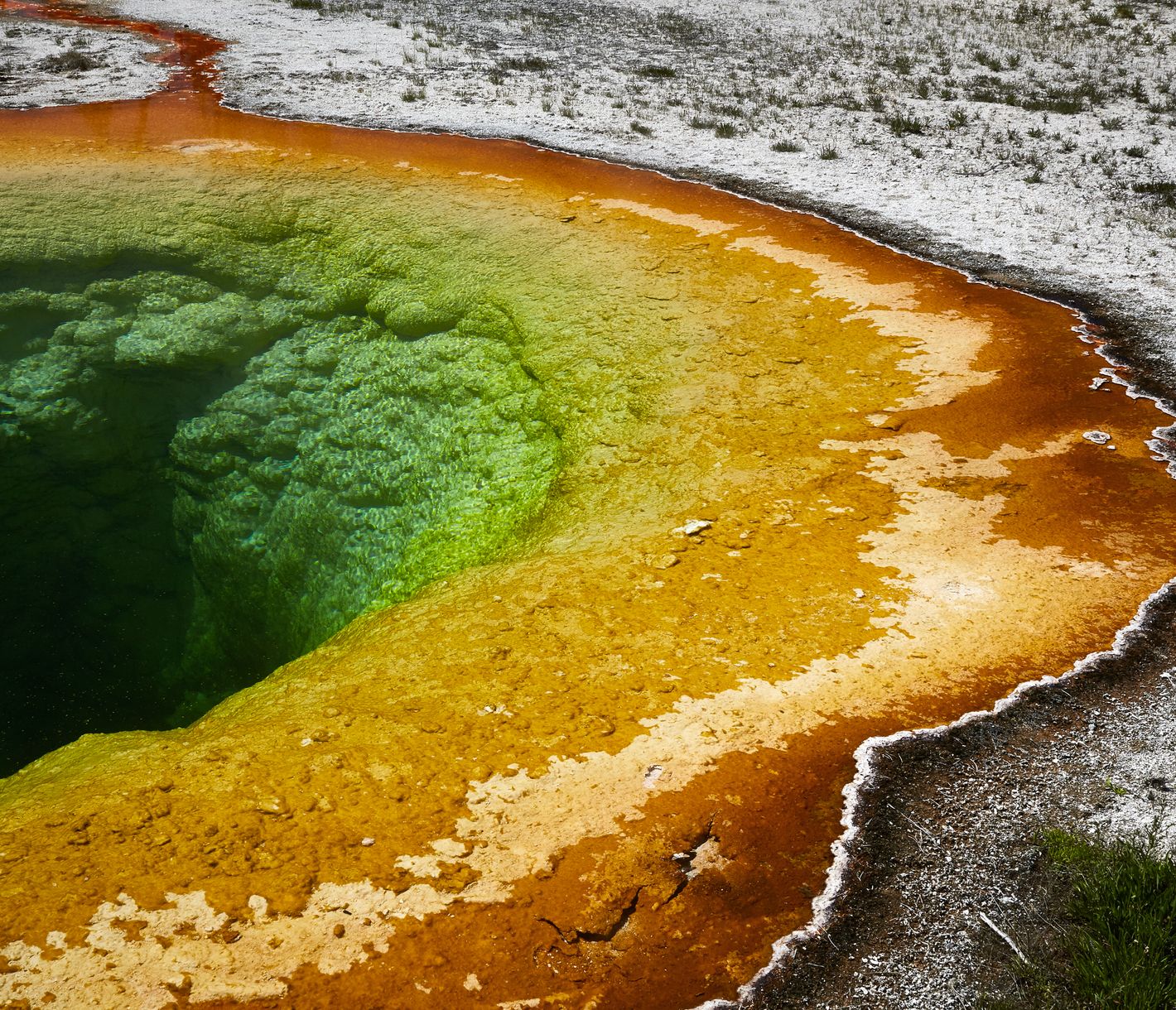 Der Morning Glory Pool ist nur eines der vielen Naturwunder im Yellowstone National Park.