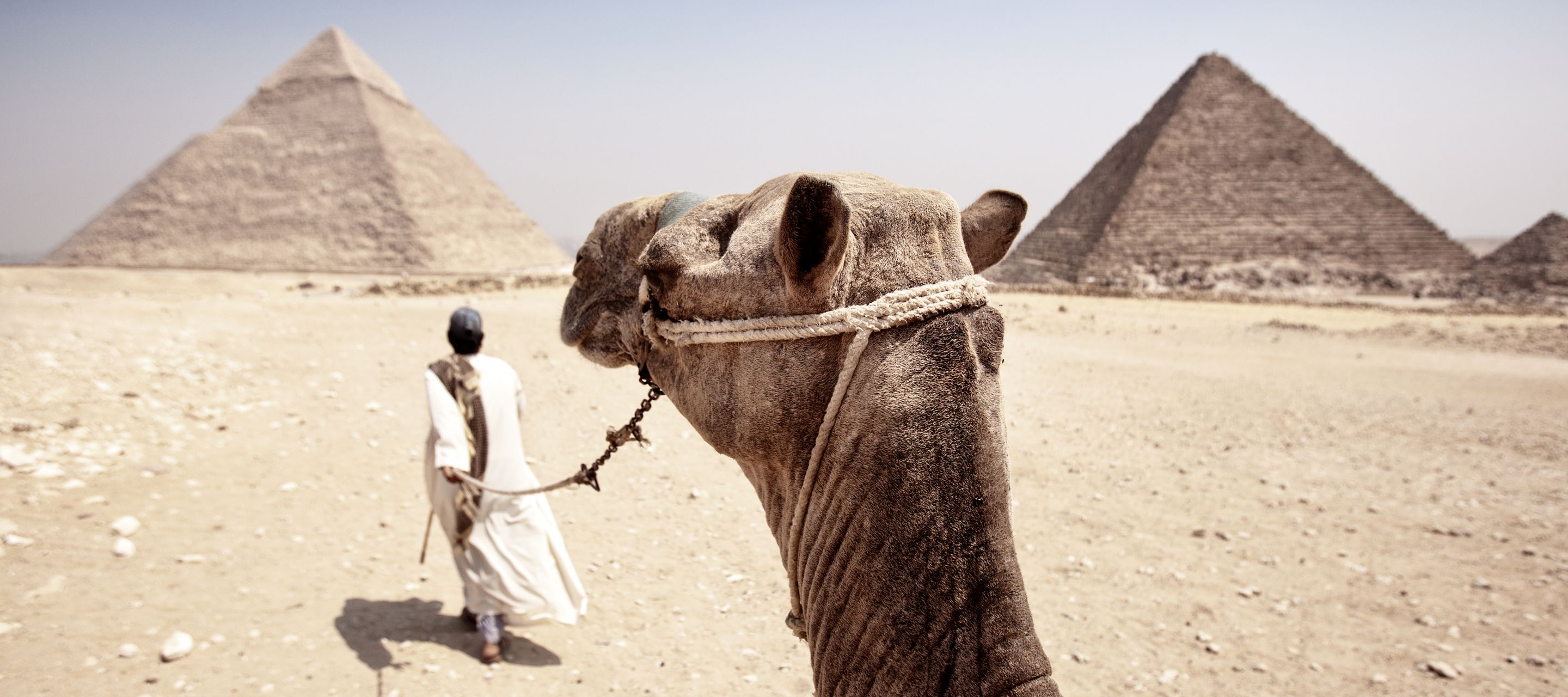 Mit dem Kamel zu den Pyramiden von Gizeh