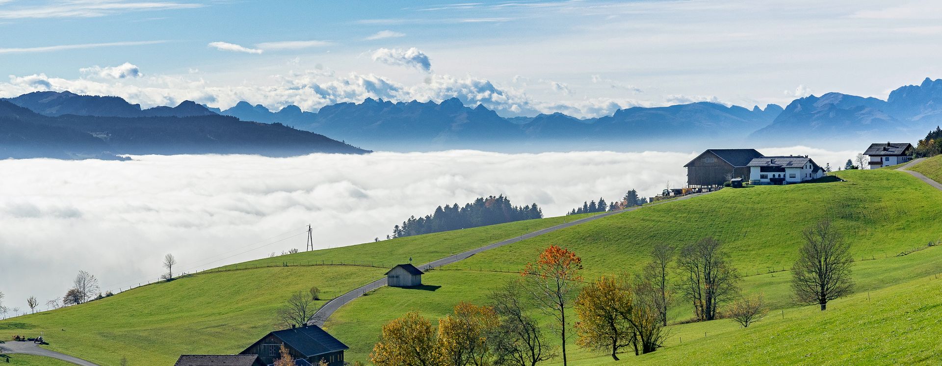 Allgäuer Alpen bei Oberstaufen