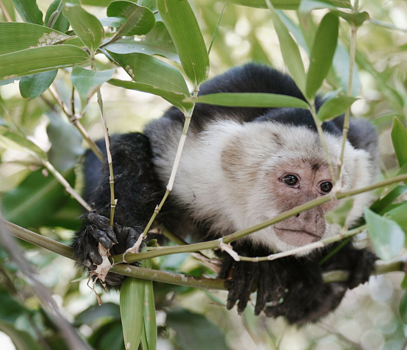 Der Tierwelt hautnah