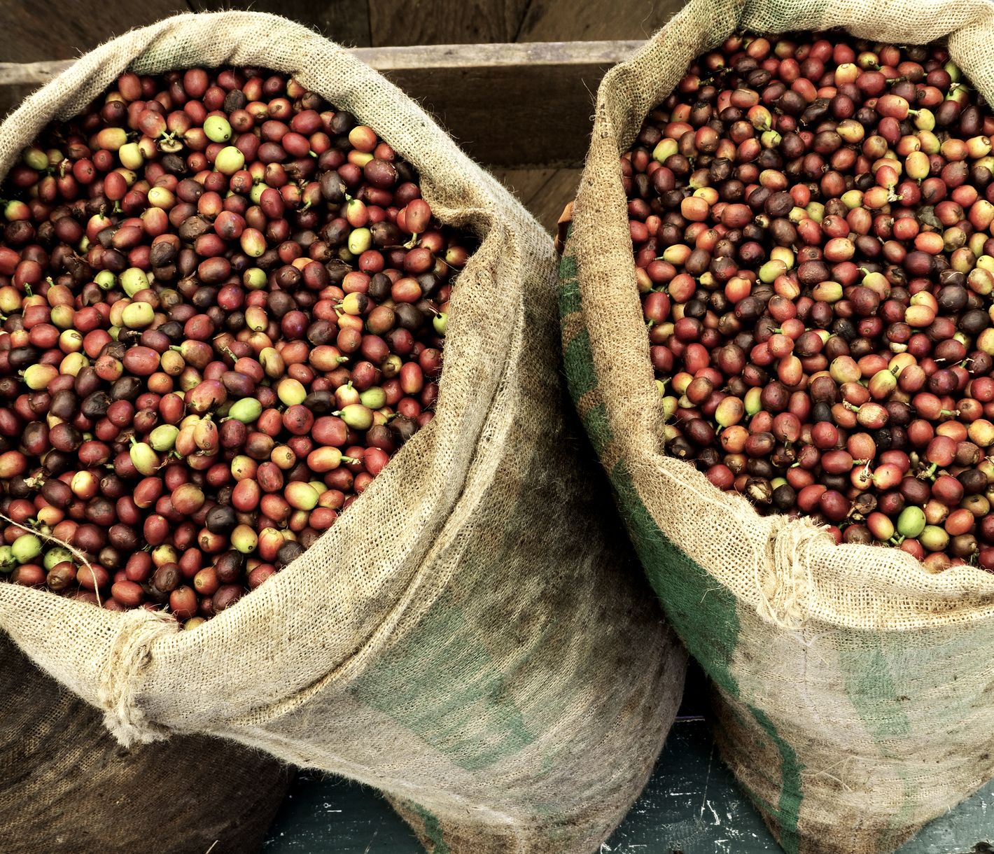 Kona-Kaffee gilt als einer der besten und exklusivsten Kaffees der Welt.