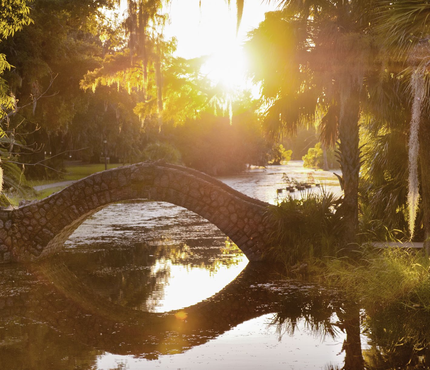 New Orleans Kayak Swamp Tour