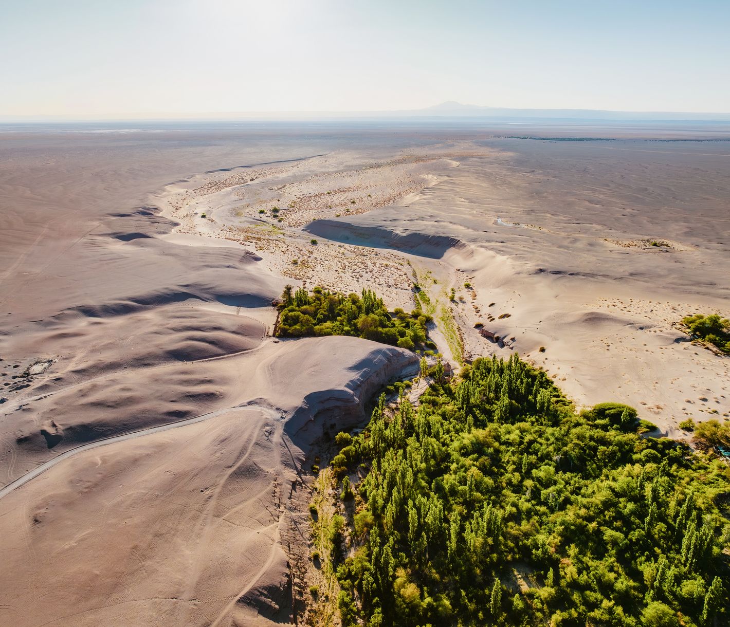 Toconao - Oase in der Wüste