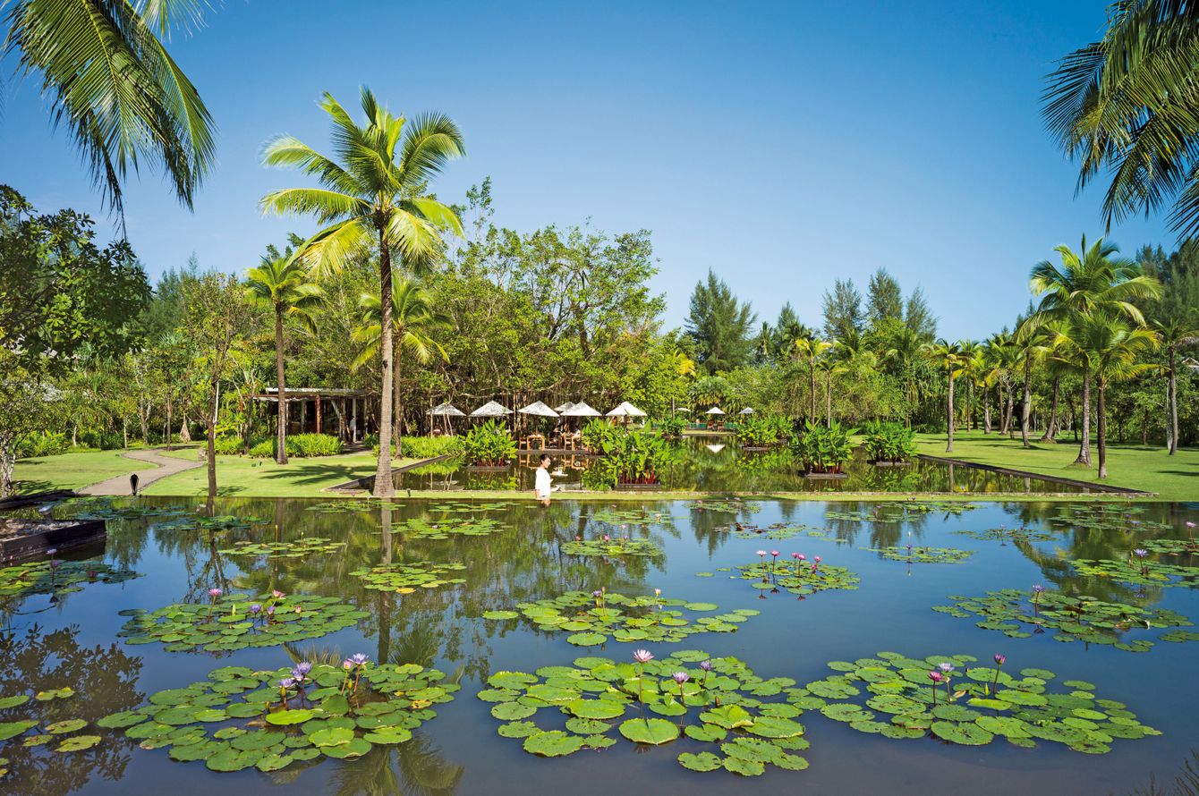 Jardin