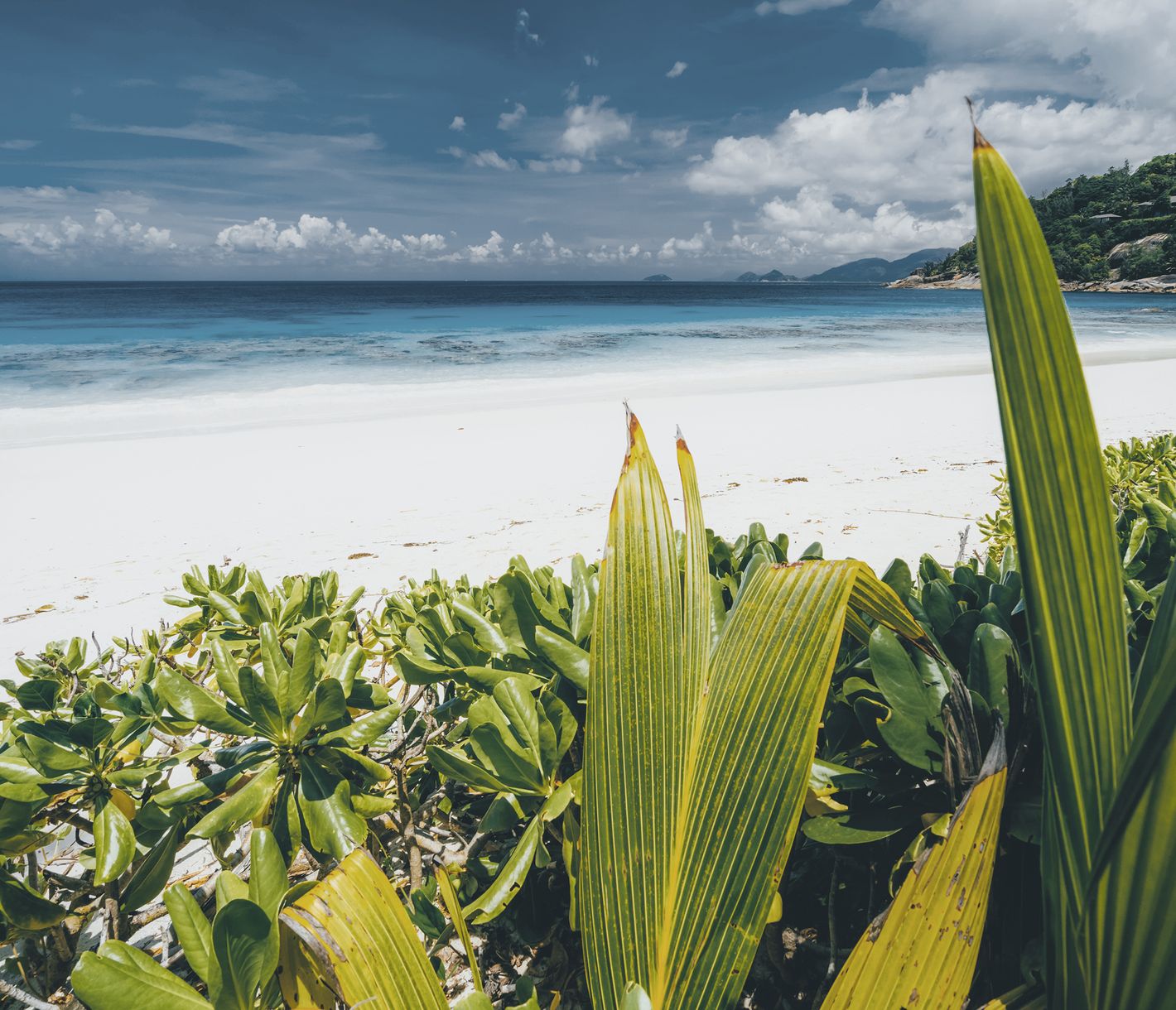 L’Anse Intendance, comme un air de paradis.