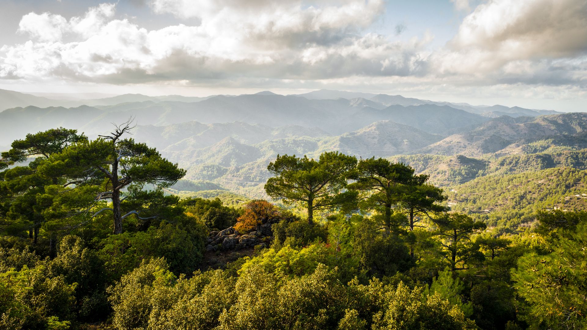 Massif du Troodos