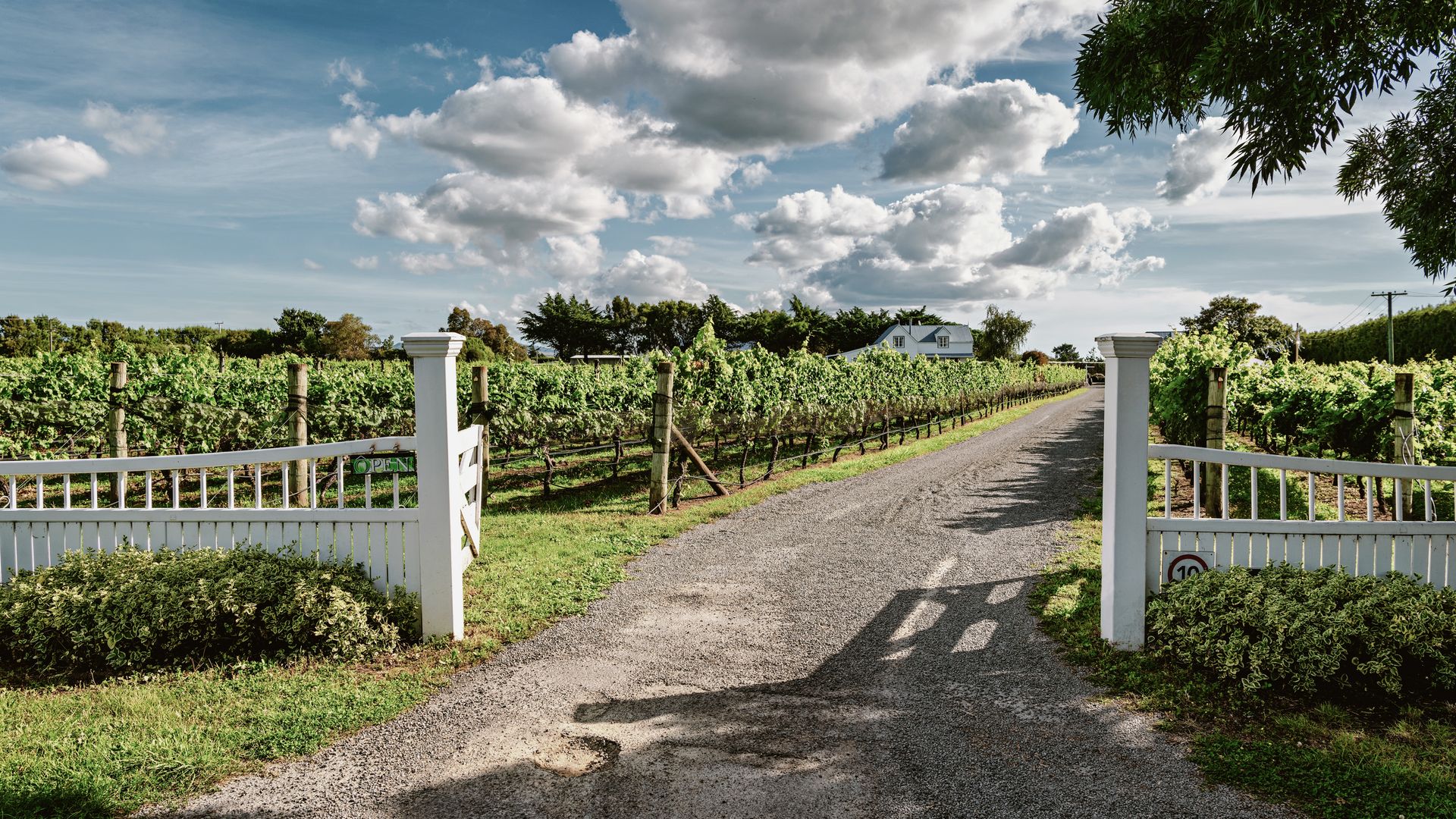 Marlborough-Weinregion