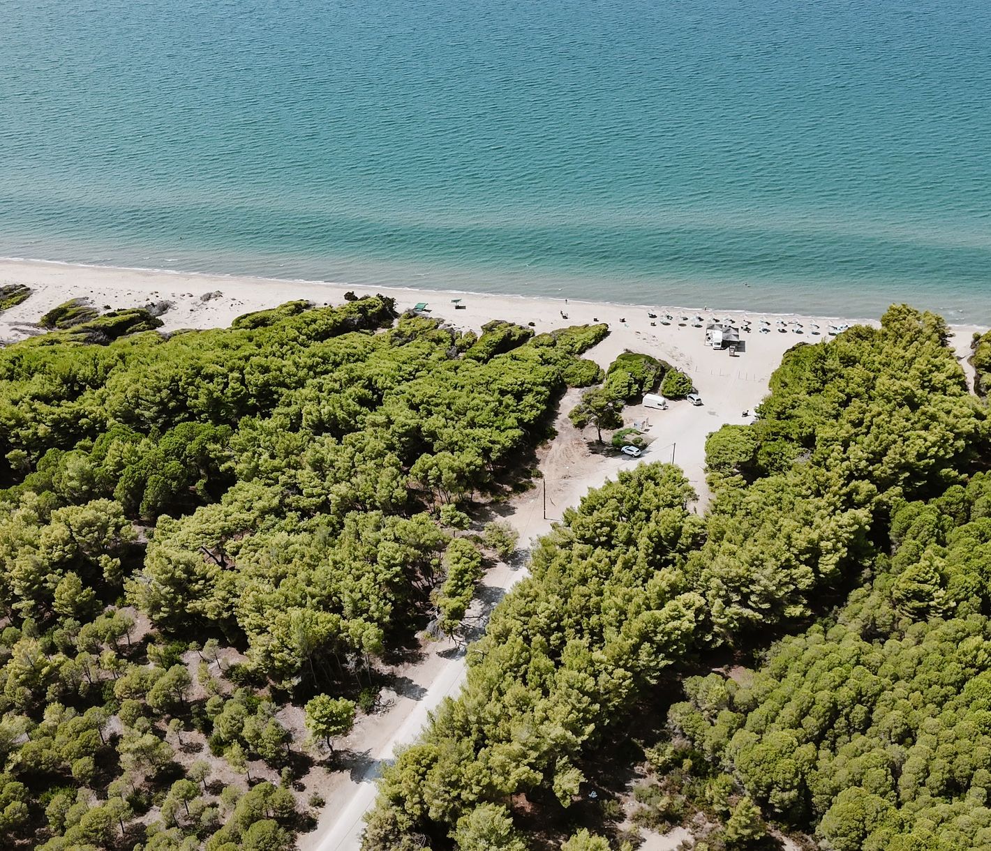 Manolada & Strofylia – Unberührter Strand und Küstenwald an der Westpeloponnes