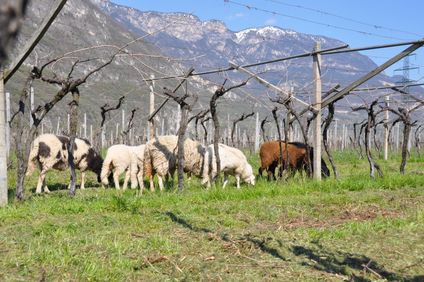 16. Bild der Unterkunft