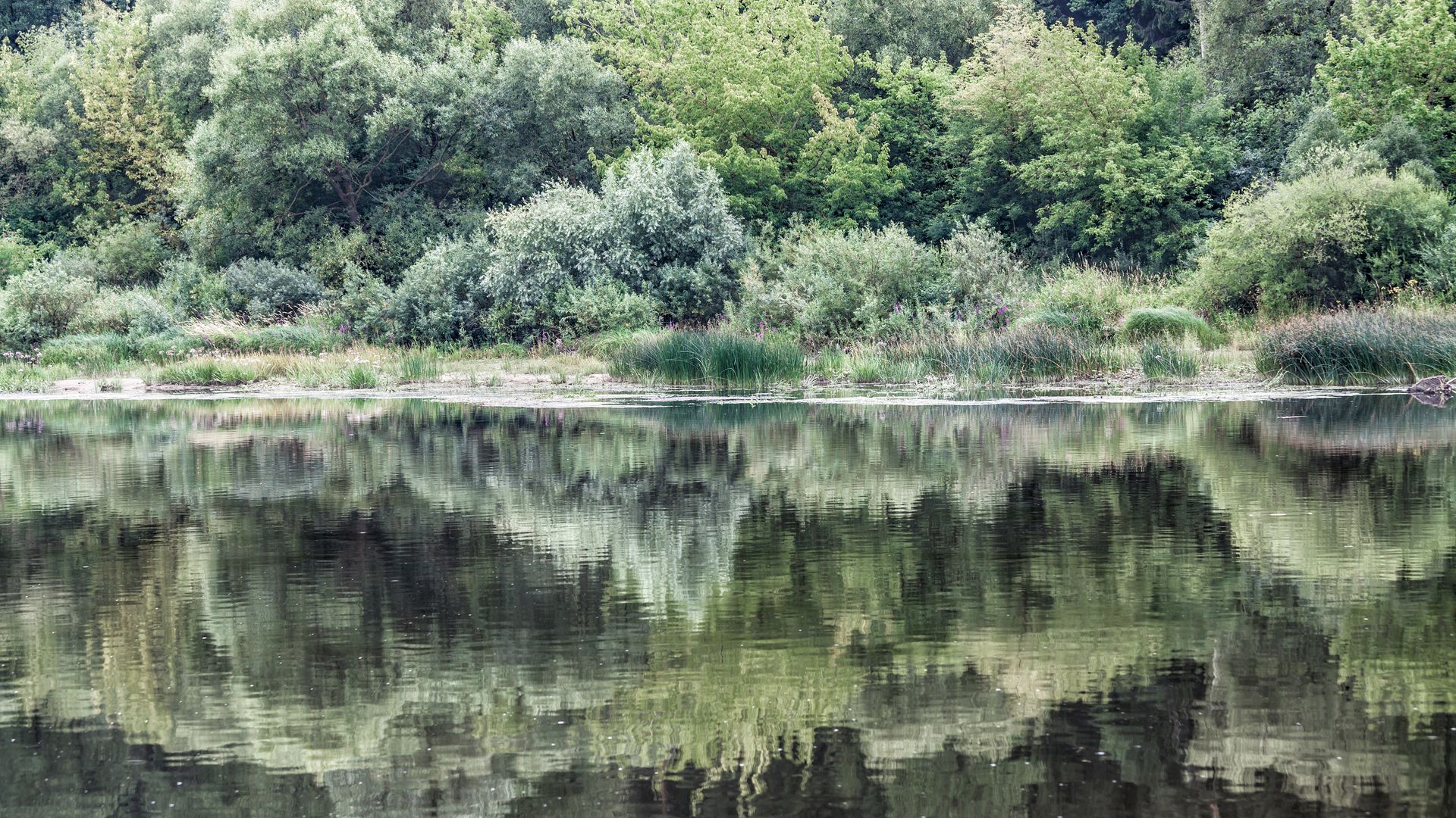 Kaunas, die Stadt an der Mündung von Memel und Neris