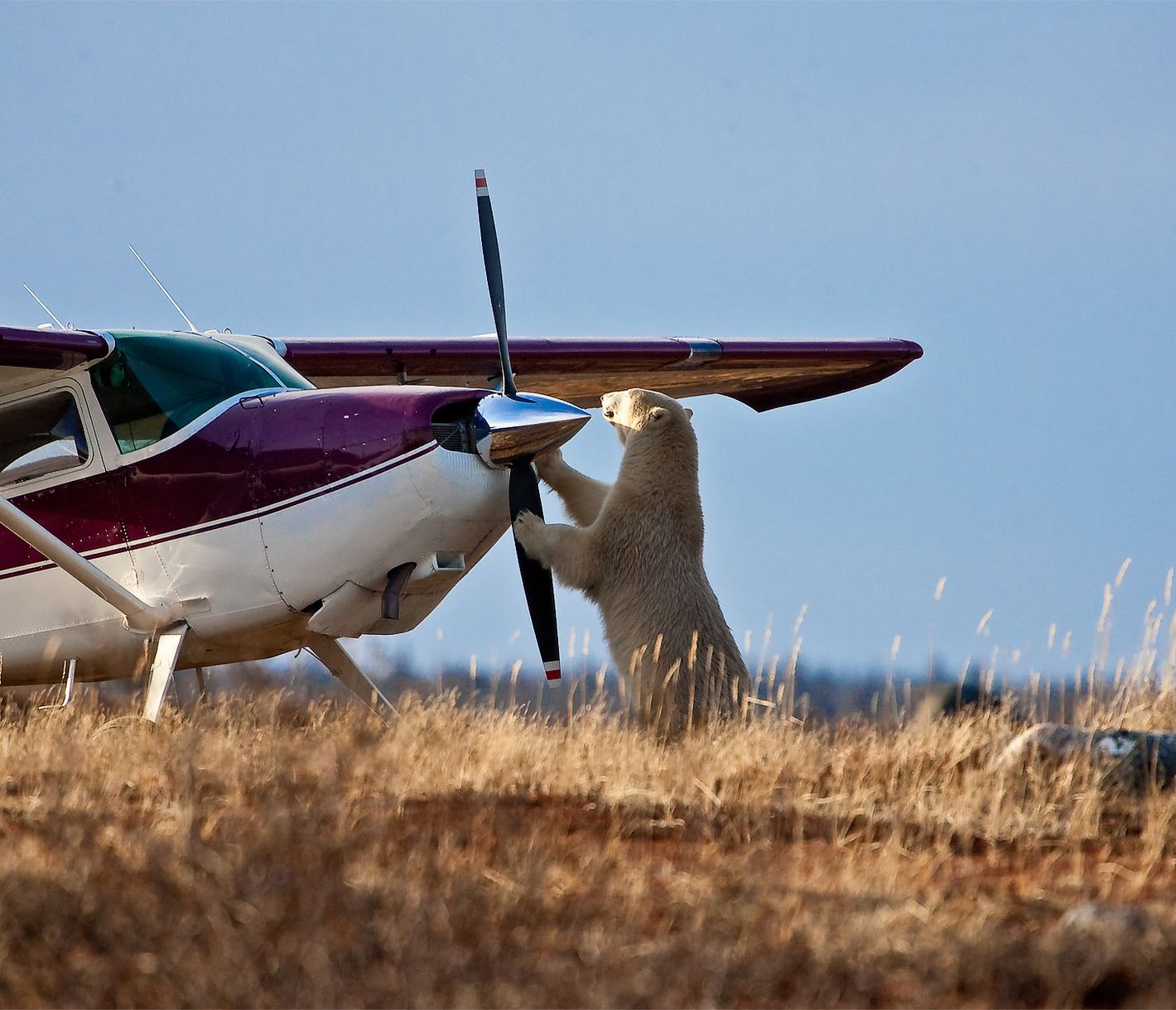 Huch, was ist denn das?