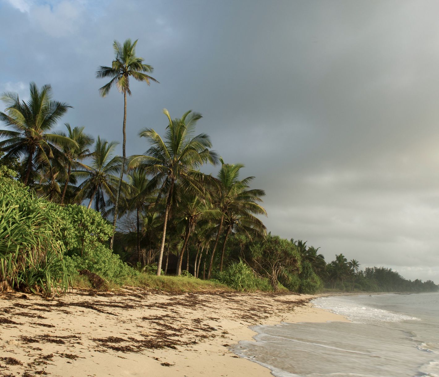 Unberührter Strand bei Msambweni im Süden Mombasas