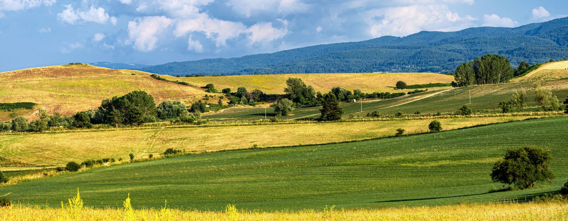 Felder ausserhalb der Stadt
