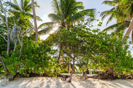 9. Bild der Unterkunft