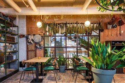 Hotel Indigo Brussels City