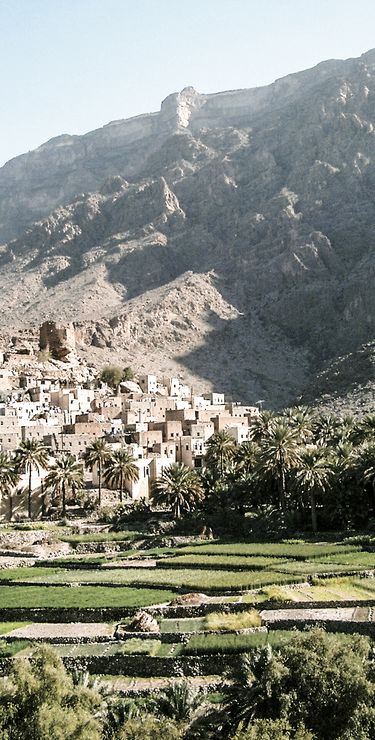 Jebel Akhdar: Omans grüne Berge voller Naturschätze