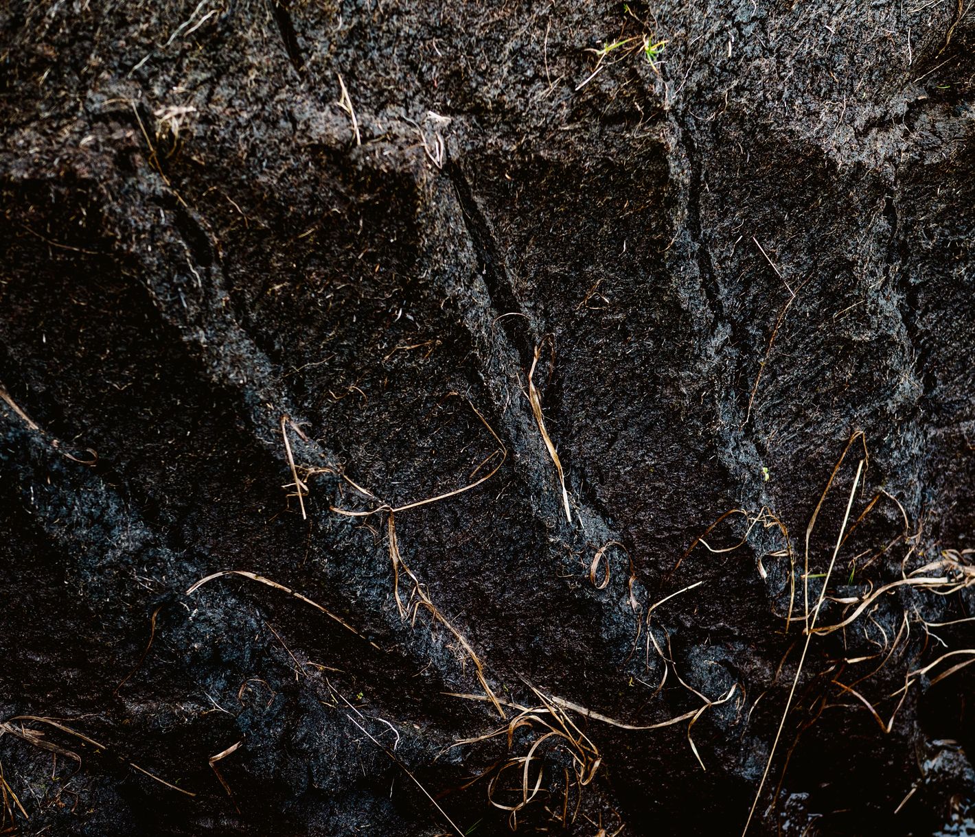 Torf als Geschmacksnote