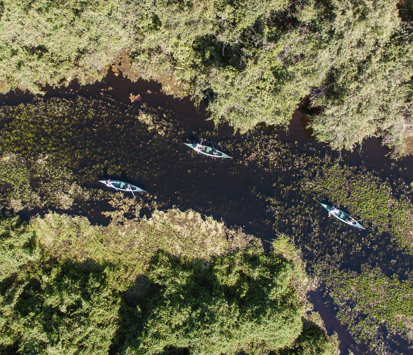 Auf dem Fluss mitten im Dschungel