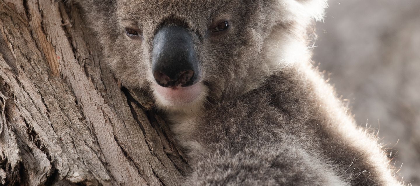 Bitte nicht stören!