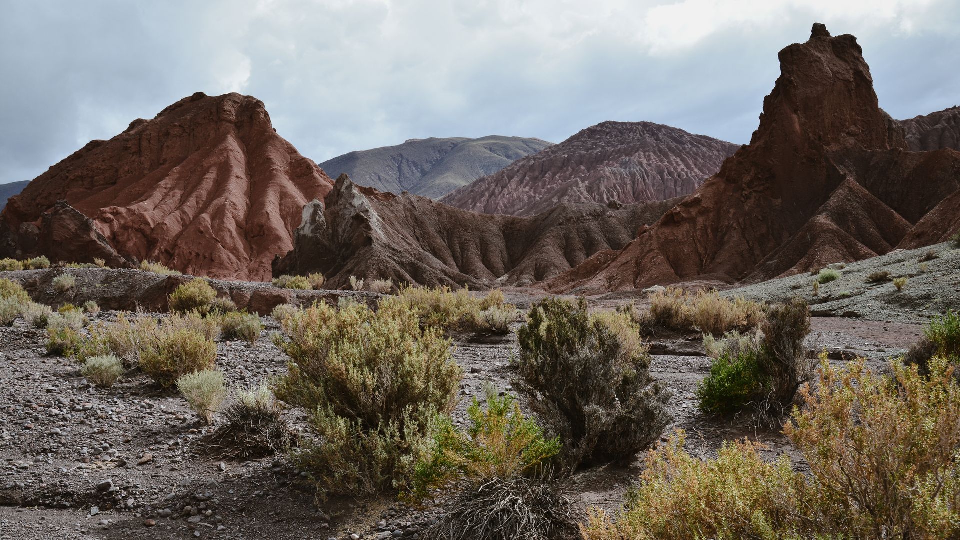 Beobachten Sie frei lebende Lamas und wilde Esel auf dem Weg ins Regenbogental.