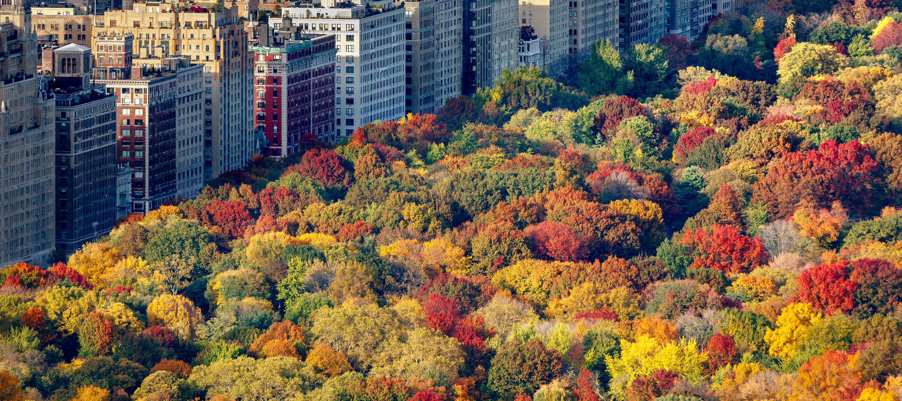 Die herbstlichen Farben des Central Parks stehen im Kontrast zu den ehrwürdigen Bauten der Upper West Side.