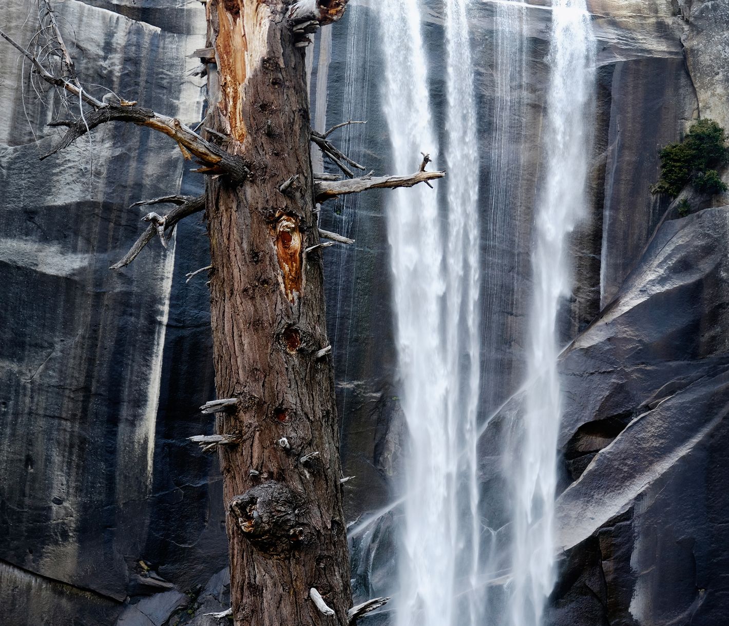 Le Parc National de Yosemite propose de nombreuses randonnées plus ou moins longues, qui sont également à portée de main des enfants.