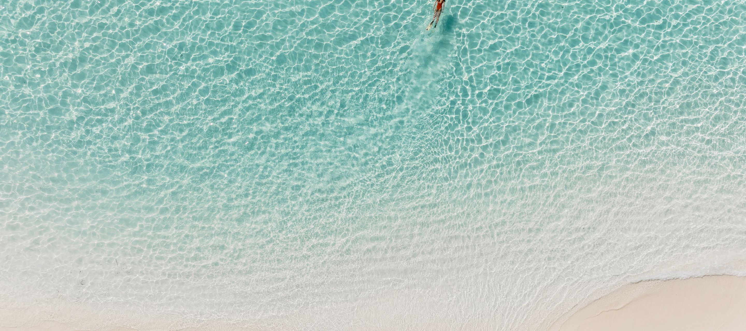 Schwimmen in tropischer Lagune – Malediven Naturerlebnis hautnah