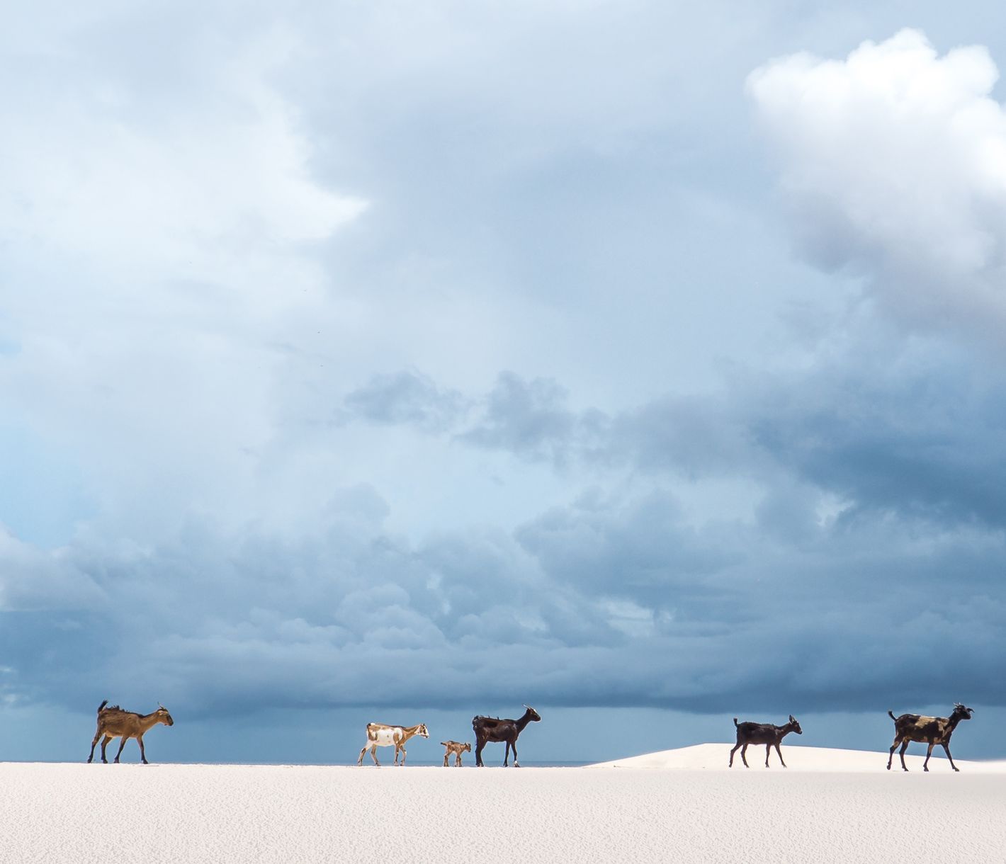 Gibt es hier etwas zu essen?