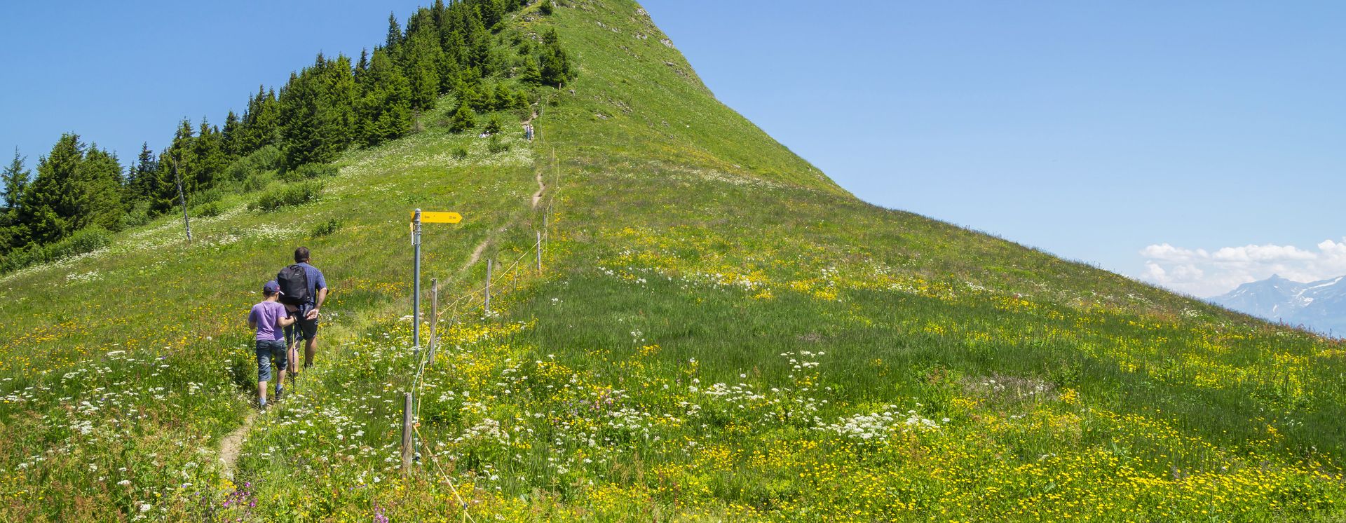 Wandern in Portes du Soleil