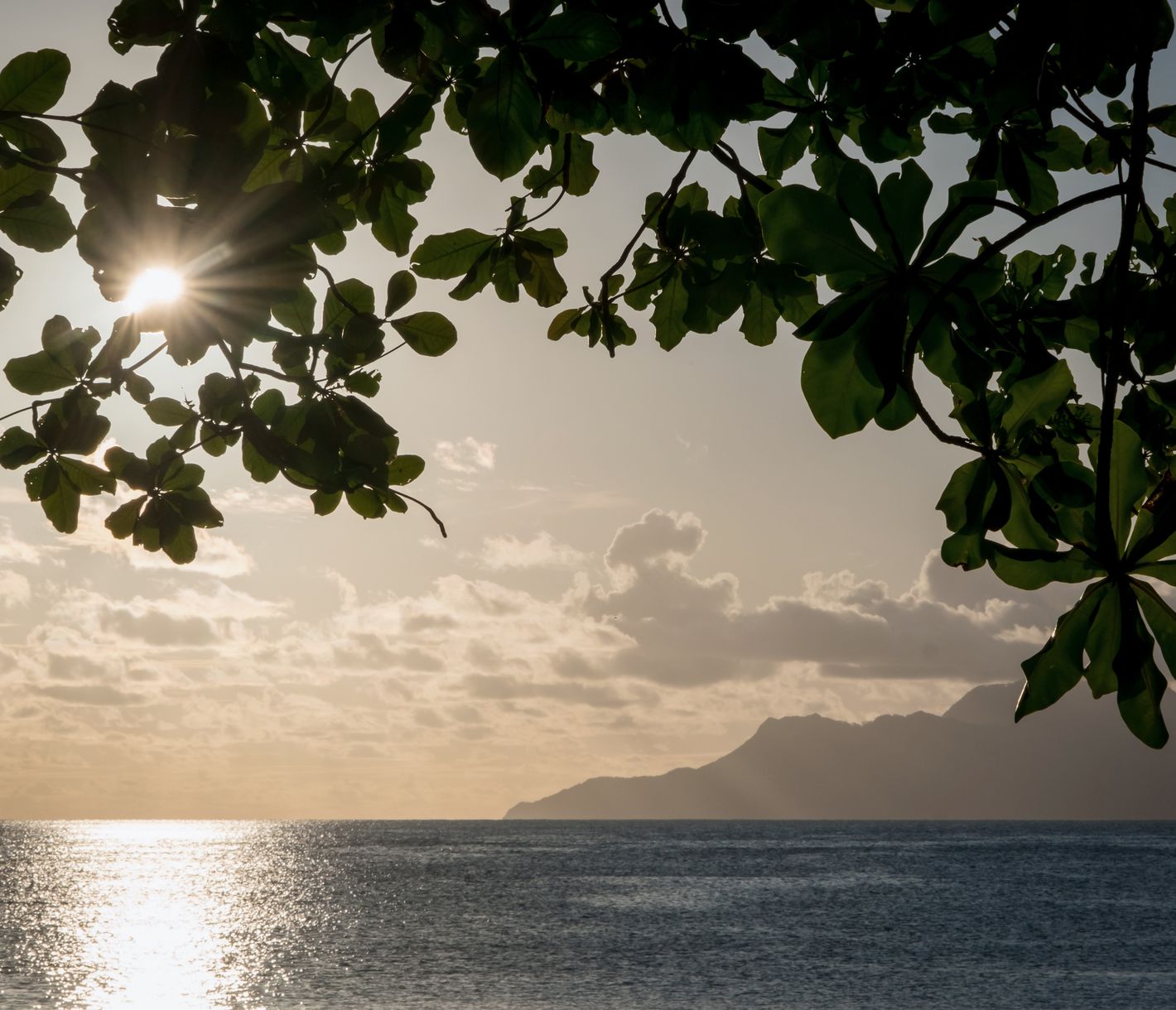 Blick von Mahé auf die vorgelagerte Insel Silhouette