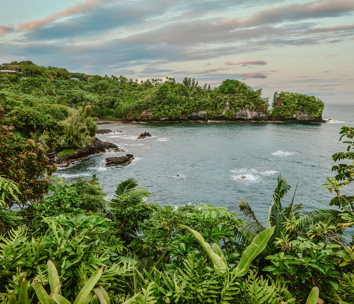 Die Hamakua Küste nördlich von Hilo bietet eine tropische Vegetation.