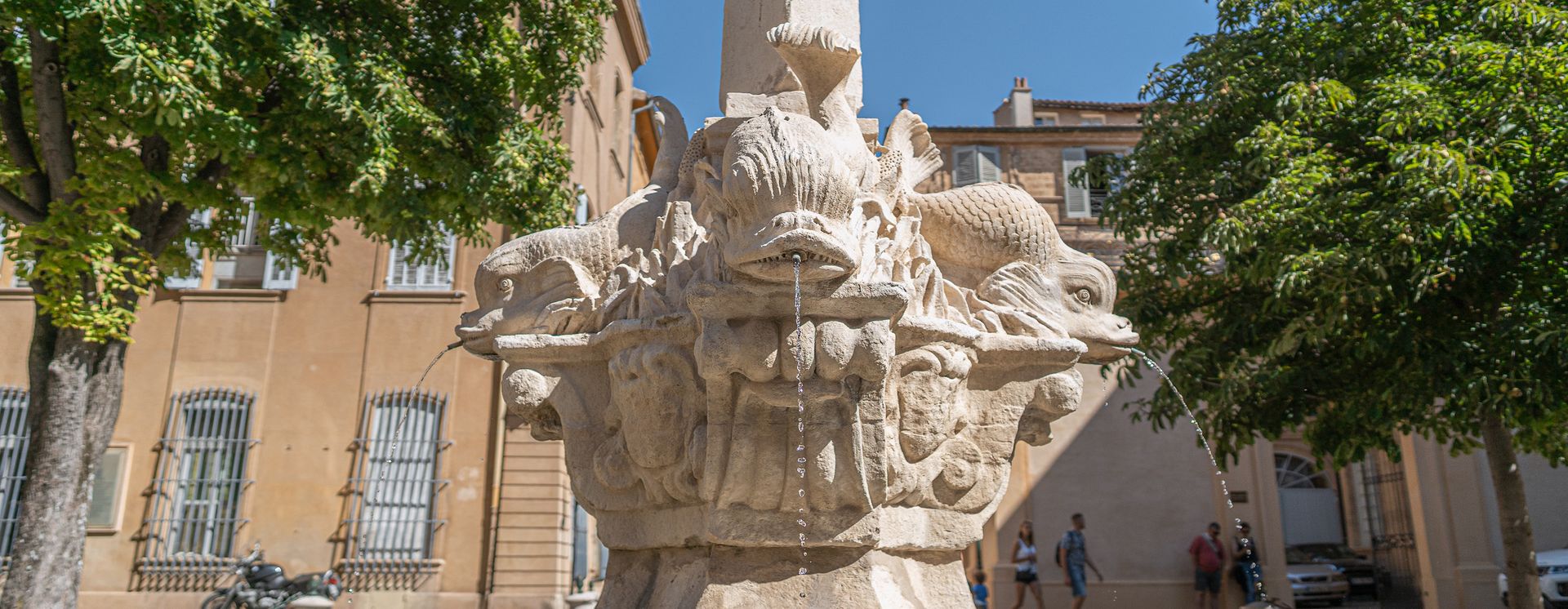 4 dauphins /  © Thomas Luppo