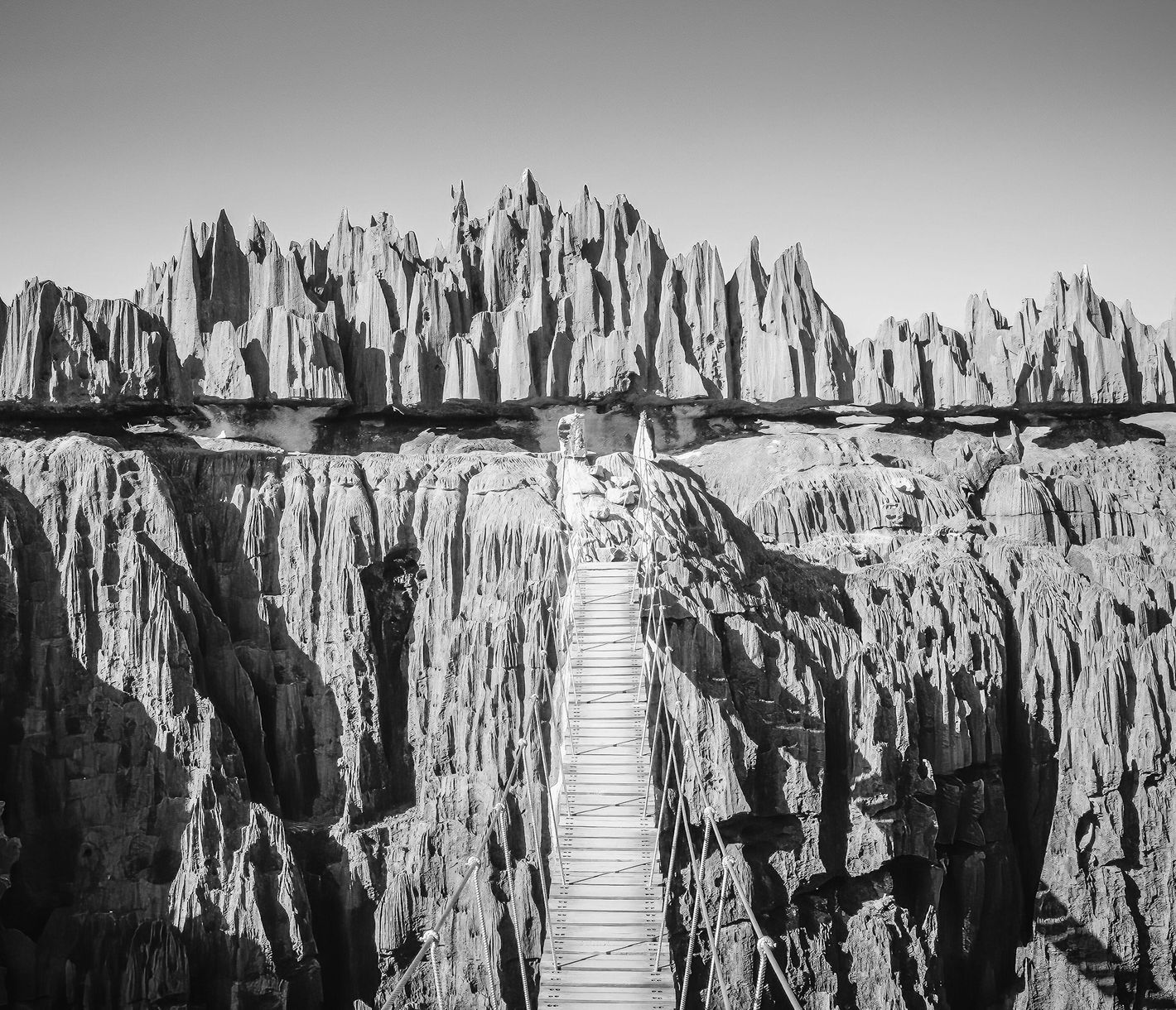 Hängebrücken erschliessen die Pfade durch die Tsingys von Bemahara.