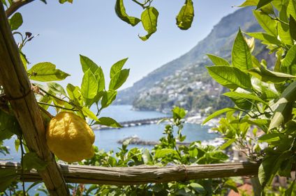 9. Bild der Unterkunft