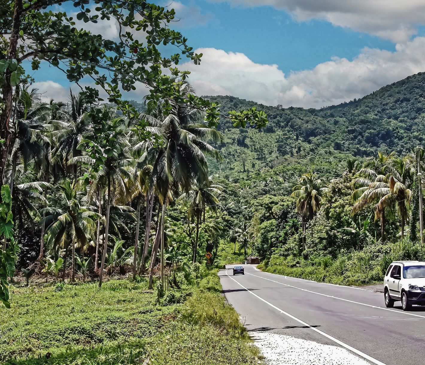 Unterwegs in den Blue Mountains