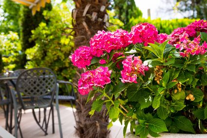 10. Bild der Unterkunft