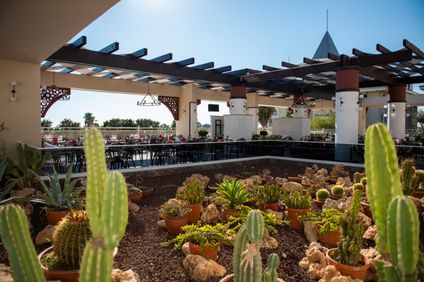 16. Bild der Unterkunft