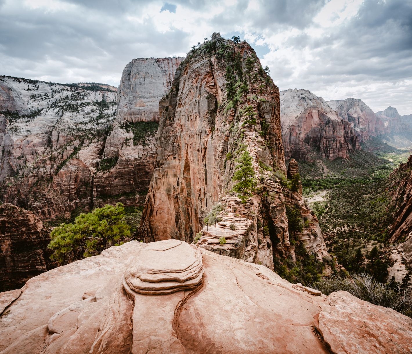 Der Zion ist farblich einer der schönsten Nationalparks.