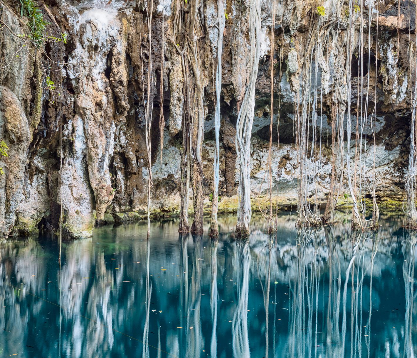 Der traumhaft schöne Cenote Yokdzonot lädt zum erfrischenden Bad ein.