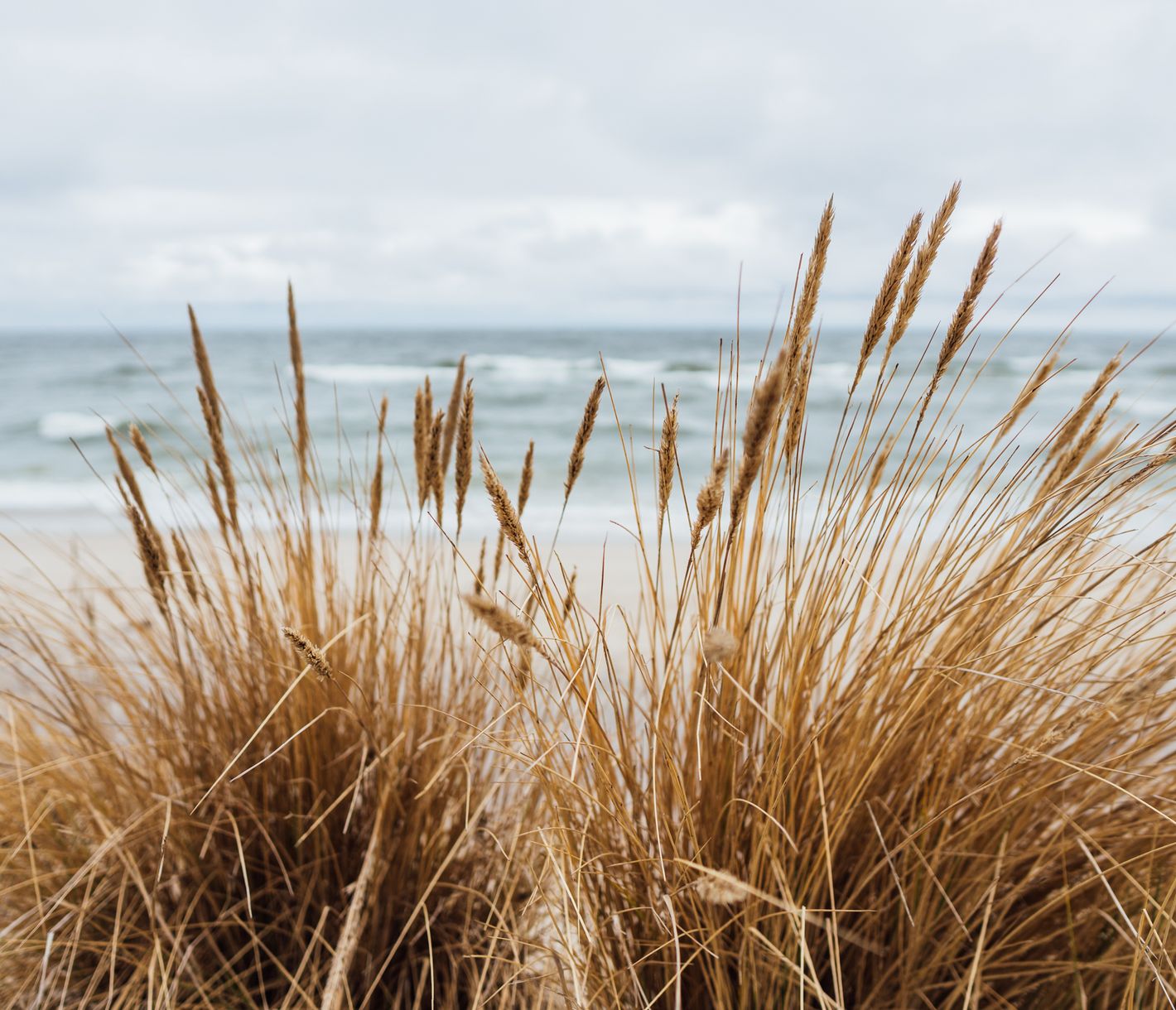 Strandtage in Dänemark