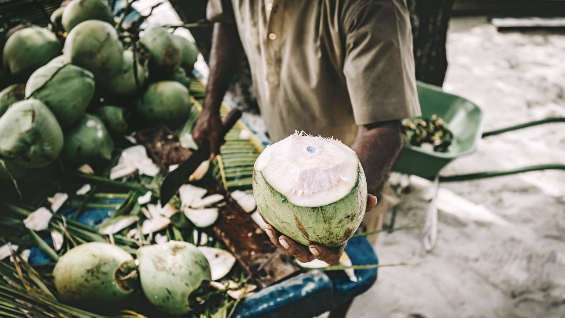 Frische Kokosnuss auf einer lokalen Insel
