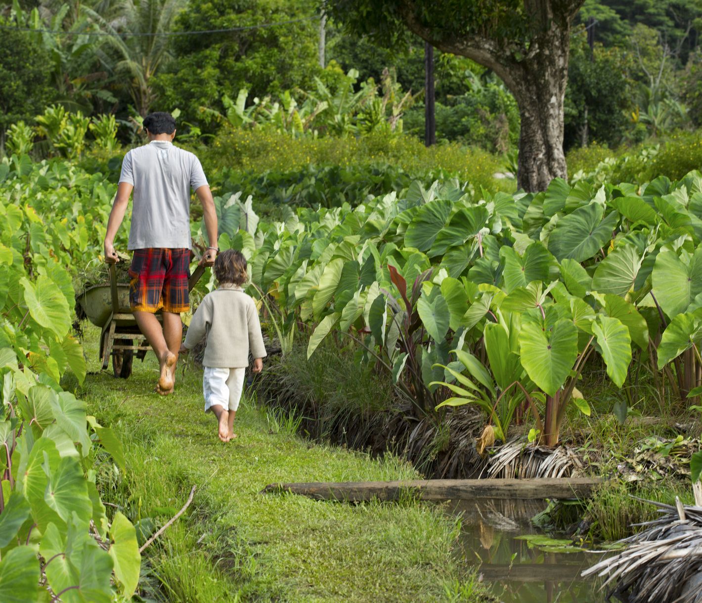 Ein grosser grüner Garten